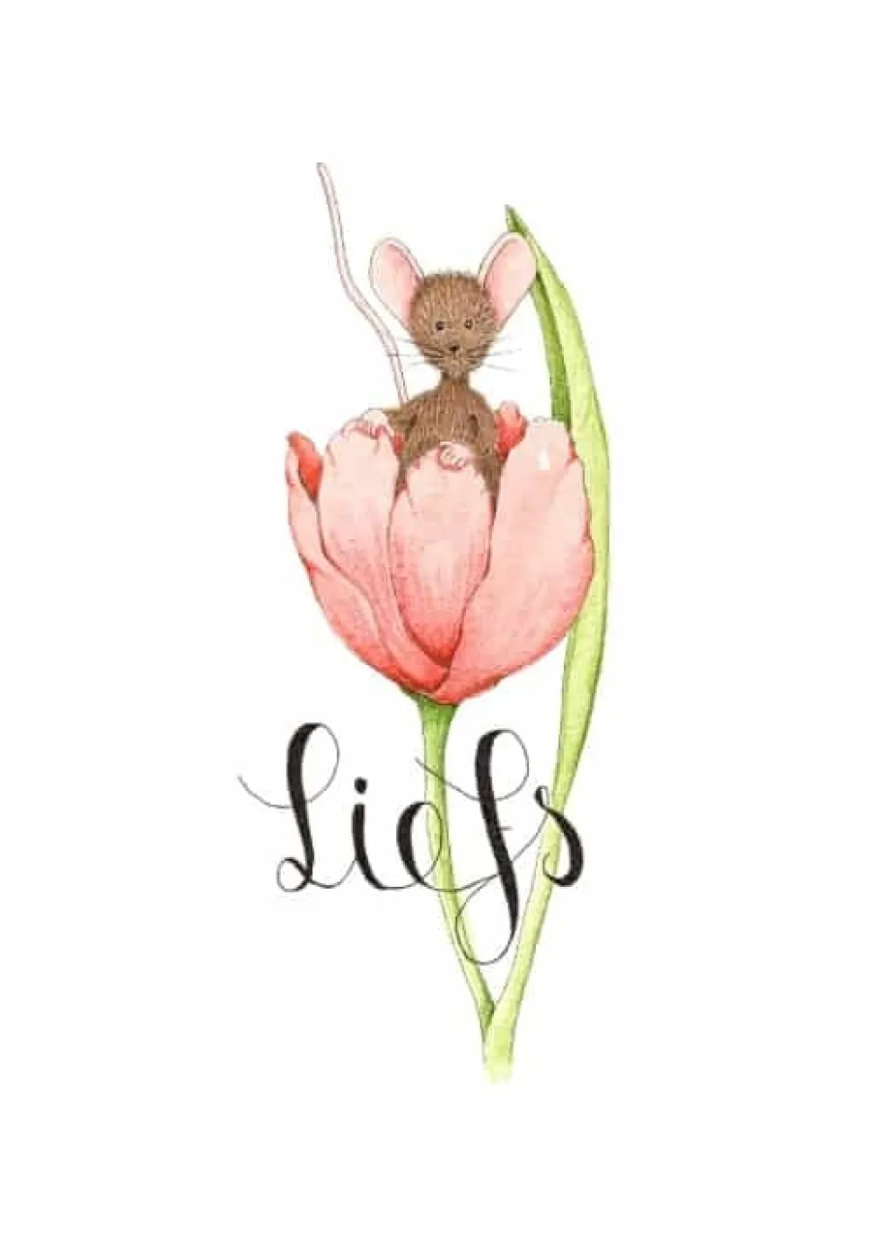 Anillustration Ansichtkaart Muisje in tulp - liefs