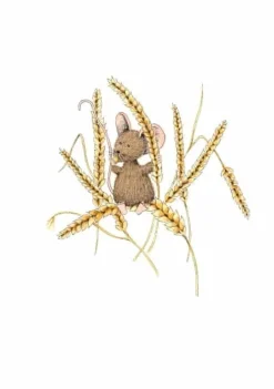 Anillustration Ansichtkaart Muis op tarwe