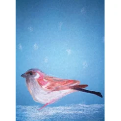 Brechtje Duijzer Ansichtkaart Mus