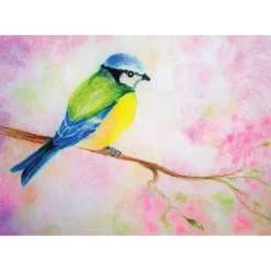 Brechtje Duijzer Minikaartje Pimpelmeesje