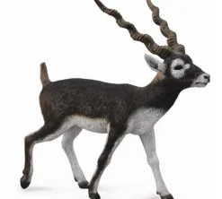 Collecta Antiloop Zwarte Bok 88638