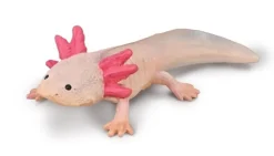 Collecta Axolotl 80015