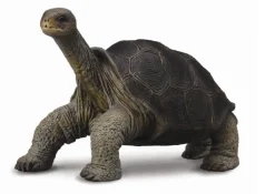 Collecta Galapagosreuzenschildpad 88619