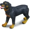 Collecta Rottweiler 88189
