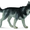 Collecta Siberische Husky 88707