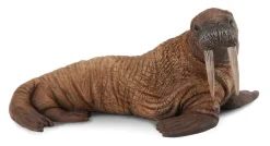Collecta Walrus 88569