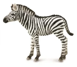 Collecta Zebra Veulen 88850