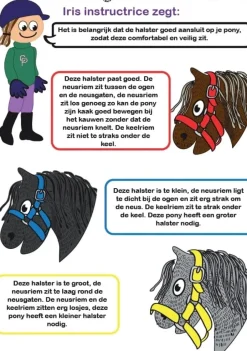 crafty ponies Halster Blauw