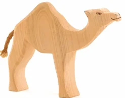 Dromedaris 20911