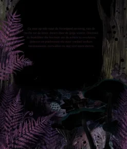 Een Noordpoolverhaal