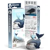 Eugy 3D Bouwpakket Groenlandse Walvis