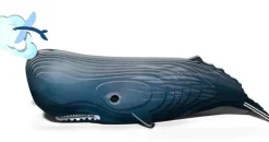 Eugy 3D Bouwpakket Potvis