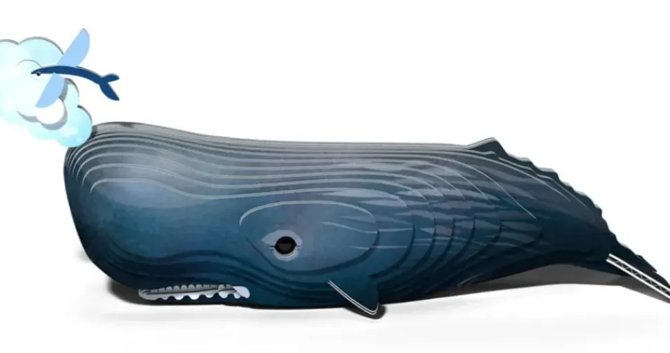 Eugy 3D Bouwpakket Potvis