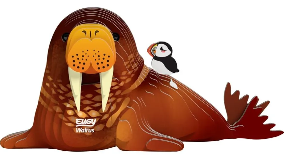 Eugy 3D Bouwpakket Walrus