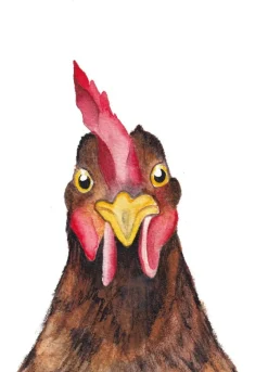 Fritsy Postkaart Kip