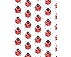 Fritsy Postkaart Lieveheersbeestjes