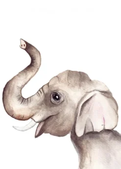 Fritsy Postkaart Olifant