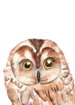 Fritsy Postkaart Uil