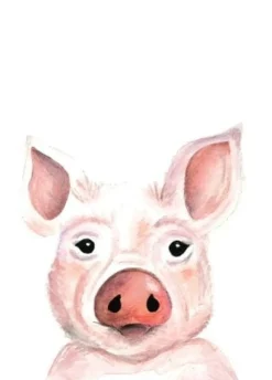 Fritsy Postkaart Varken