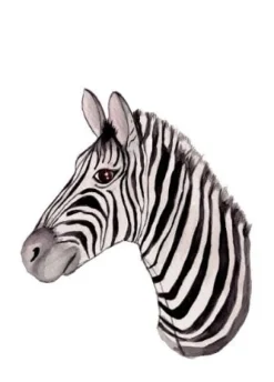 Fritsy Postkaart Zebra