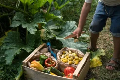 Grapat Mandala Tulip Hout 36-delig 22-240