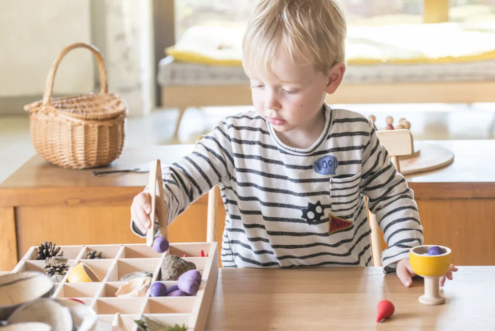 Grapat Tinker Tray 19-211