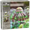 Haba Terra Kids - Connectors - Starter Set II