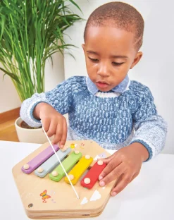 Le Toy Van Xylofoon Activiteiten Paneel