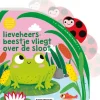 Lieveheersbeestje vliegt over de sloot