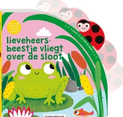 Lieveheersbeestje vliegt over de sloot