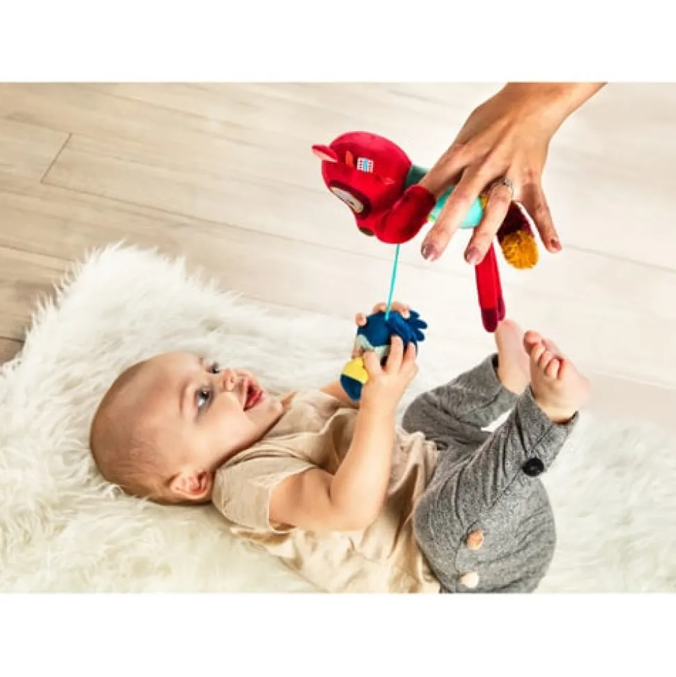 Lilliputiens Cesar Activiteiten Pop