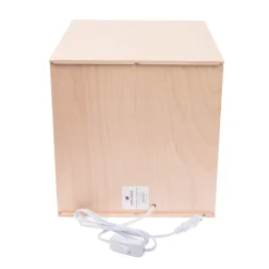 Limundo Kubuslamp Joy Beuken Hout