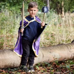 Liontouch  Ridder Gouden Adelaar Schild
