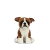 Living Nature Knuffel Hond Boxer Zittend 20 cm