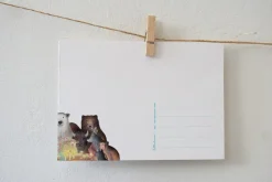 Lotte Drouen Ansichtkaart Gezamenlijk Eten