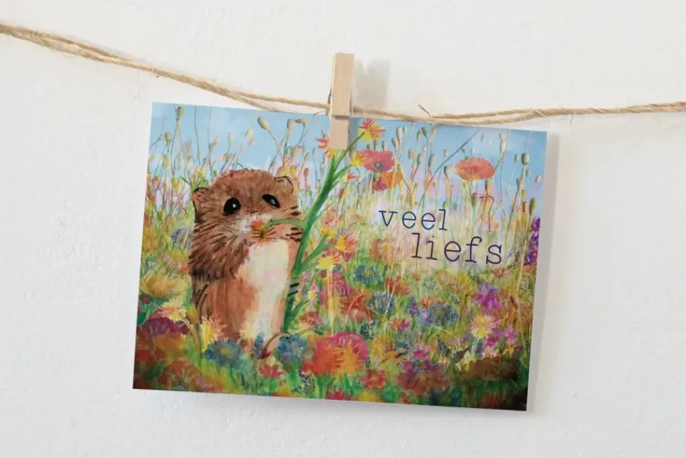 Lotte Drouen Ansichtkaart Veel Liefs