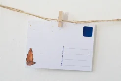 Lotte Drouen Ansichtkaart Sterren Kijken