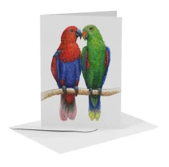 MiesToGo Wenskaart Edelpapegaai Duo