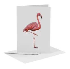 MiesToGo Wenskaart Flamingo