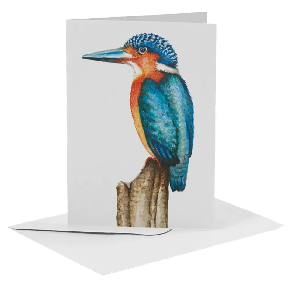 MiesToGo Wenskaart IJsvogel