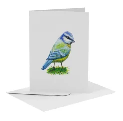 MiesToGo Wenskaart Pimpelmees