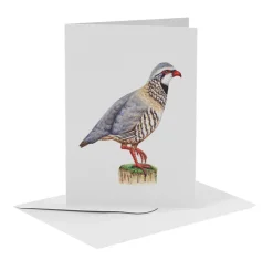 MiesToGo Wenskaart Rode Patrijs