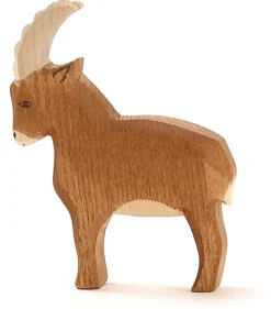 Ostheimer Steenbok 17501