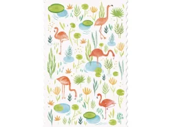 Postcard - Flamingos