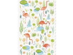 Postcard - Flamingos
