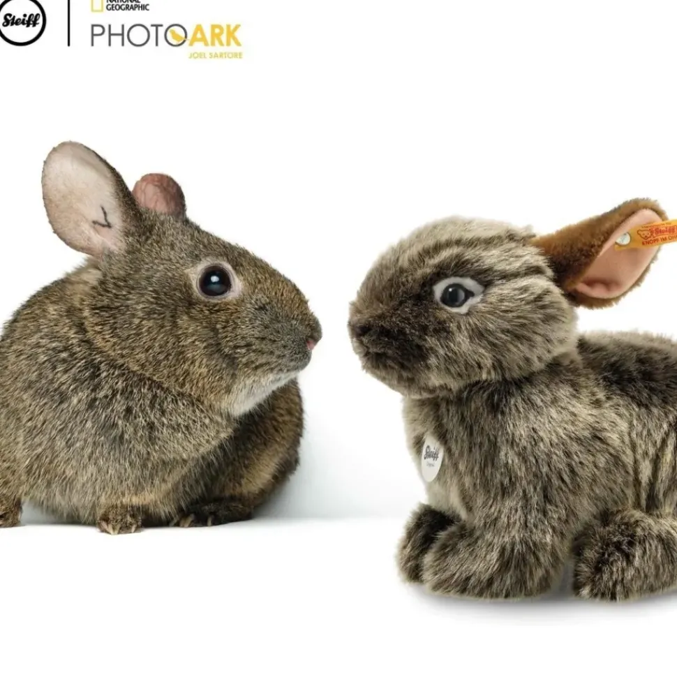 Steiff Knuffel Konijn National Geographic Vula Vulkaankonijn