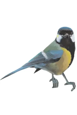 Sticky Tales Muursticker Kiki de Koolmees