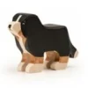 Trauffer Berner Sennenhond Staand Middel