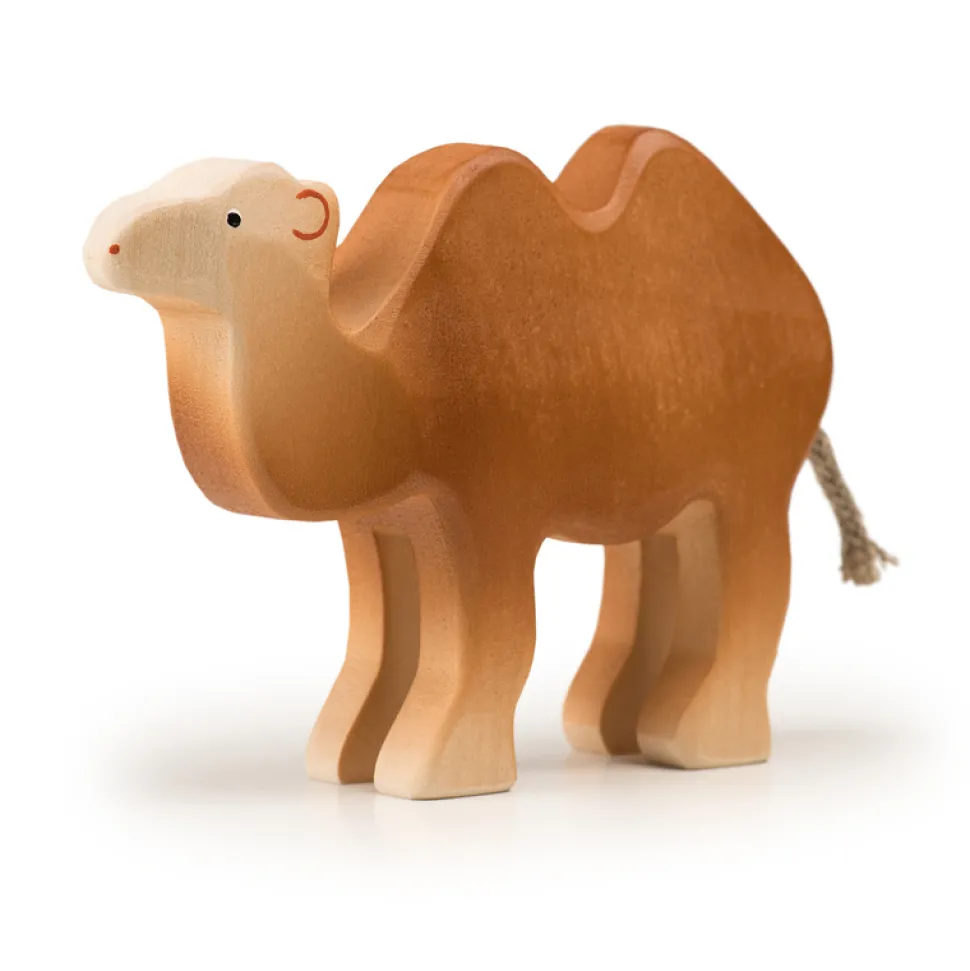 Trauffer Kameel Groot