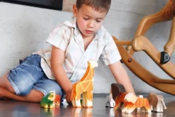 Trauffer Zebra Groot